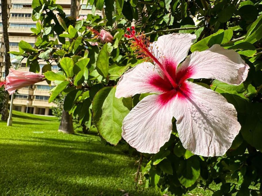 Apto. Tobago, Vistas Y Urbanizacion De Ensueno エル・カンページョ エクステリア 写真